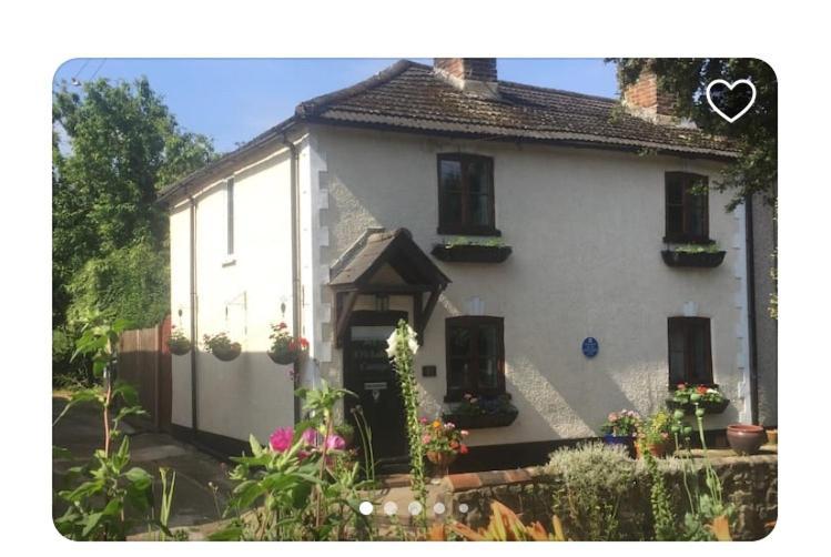 Cricketers Cottage B&B West Malling Exteriér fotografie